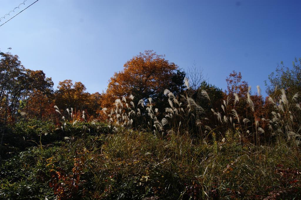 ホテル ペンション　ぐっどらっく高山 エクステリア 写真